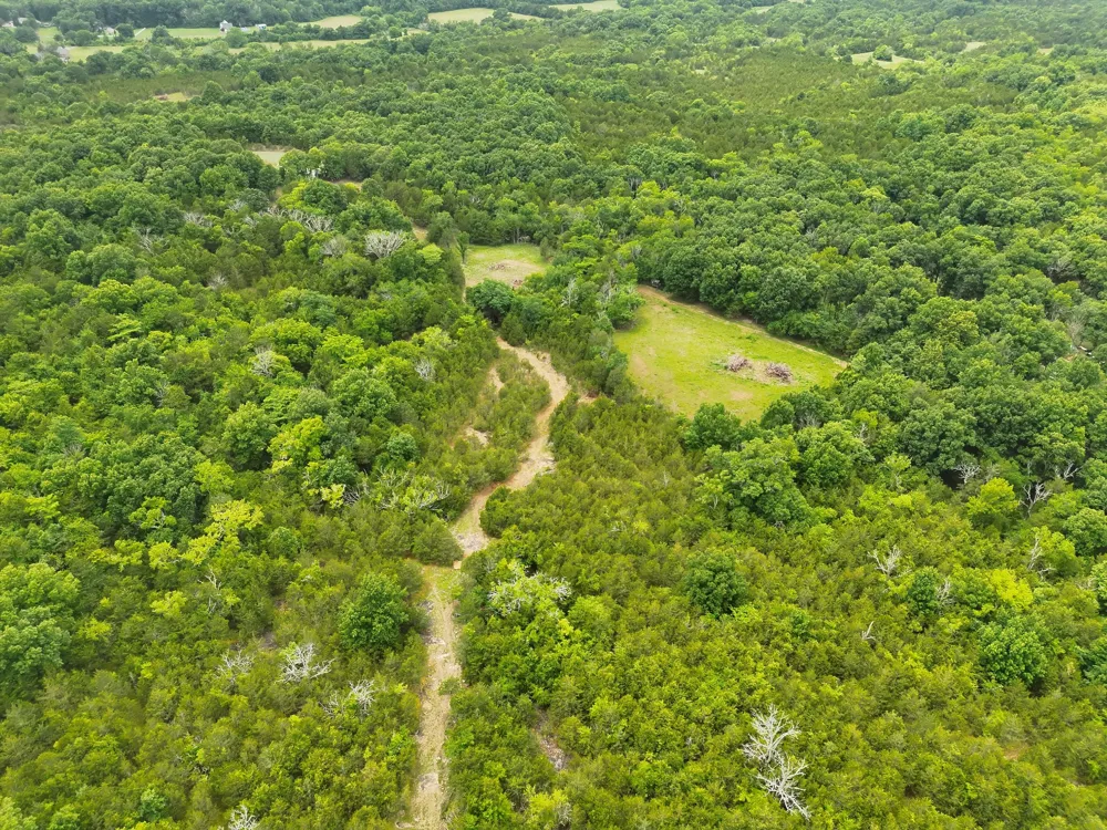 4492 Murray Kittrell Rd Readyville, TN 37149