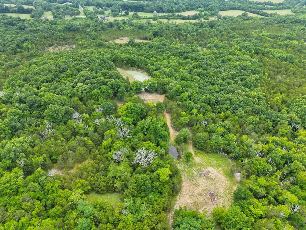 4492 Murray Kittrell Rd Readyville, TN 37149