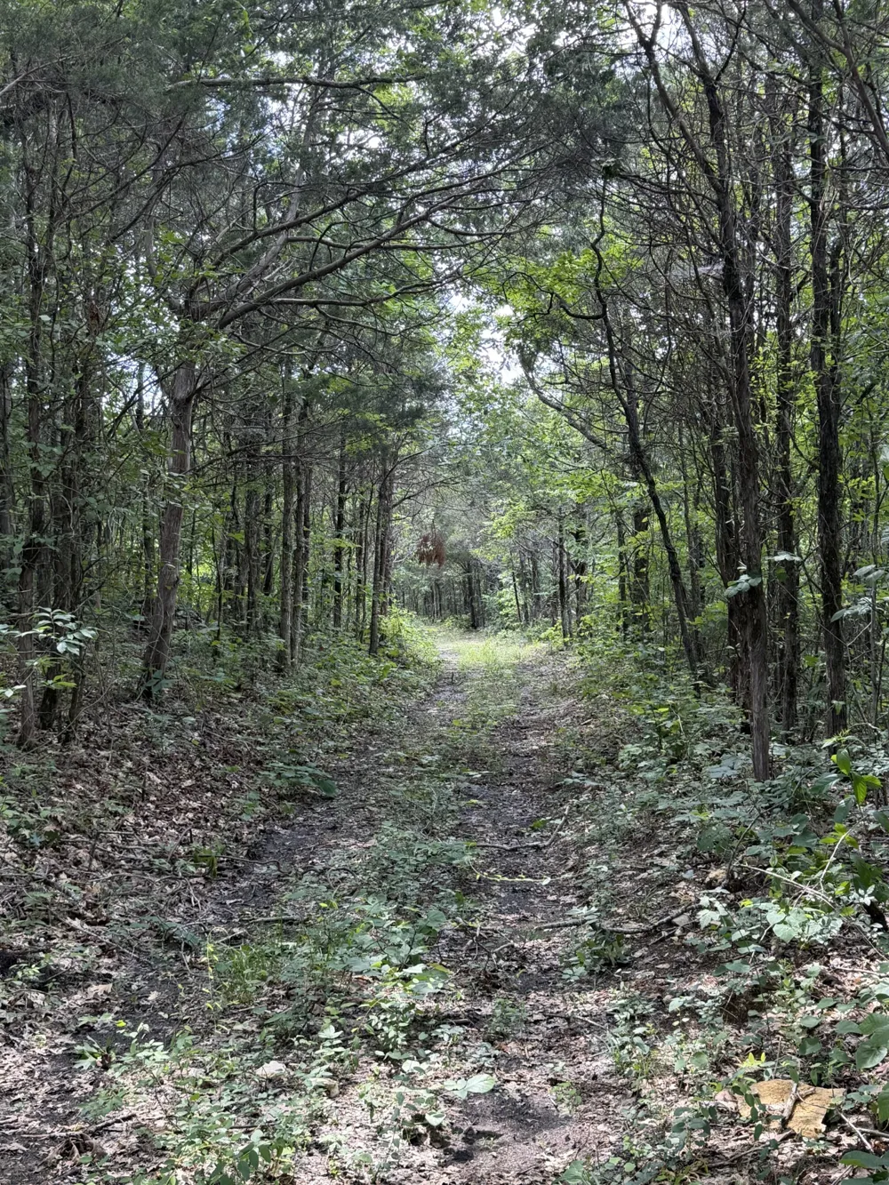 4492 Murray Kittrell Rd Readyville, TN 37149