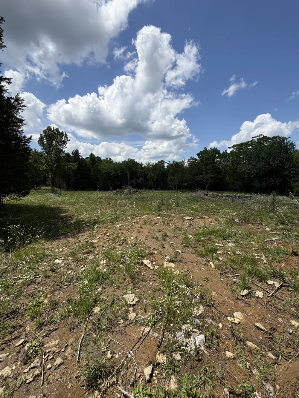 4492 Murray Kittrell Rd Readyville, TN 37149