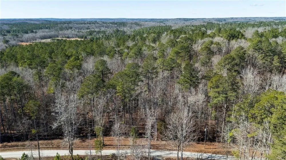 0 Pace Road Chattahoochee Hills, GA 30213