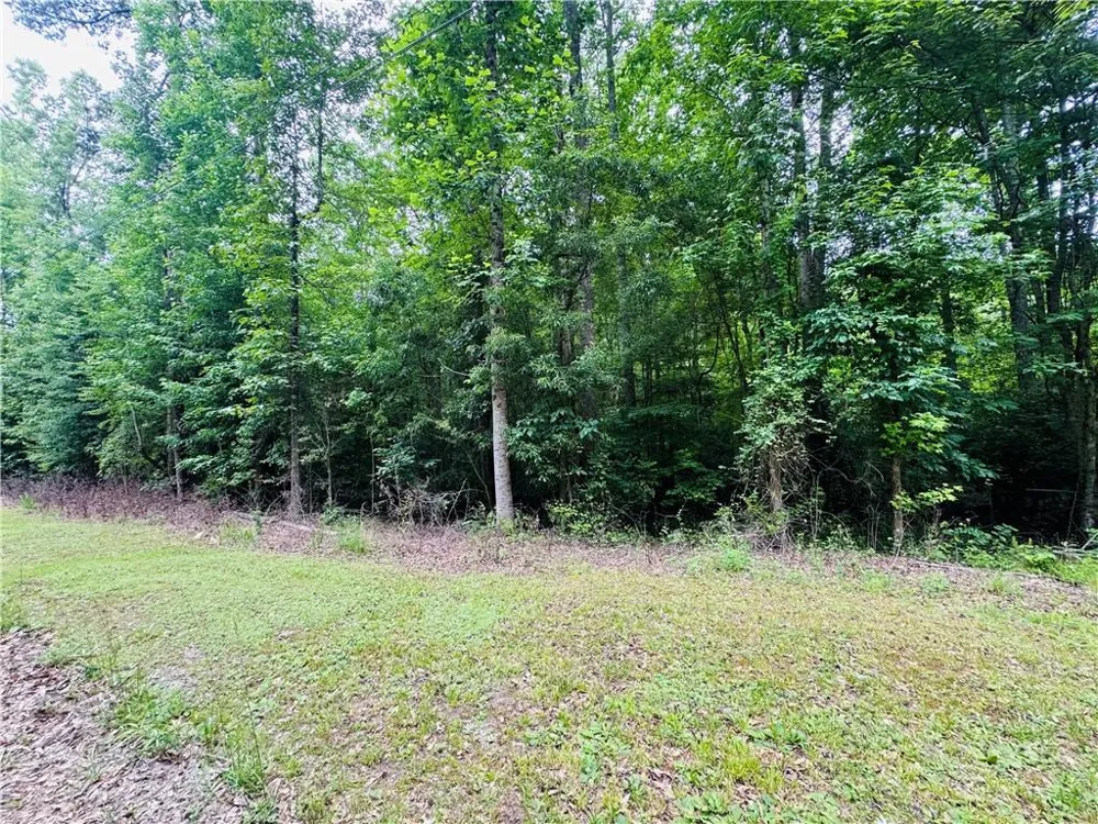 0 Pace Road Chattahoochee Hills, GA 30213