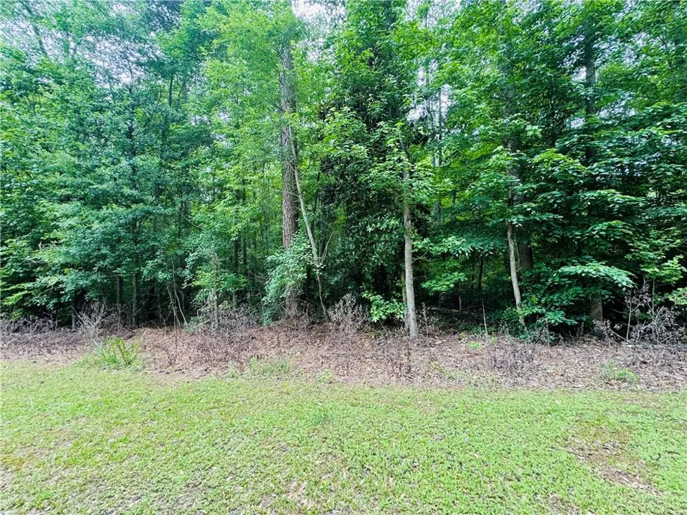 0 Pace Road Chattahoochee Hills, GA 30213