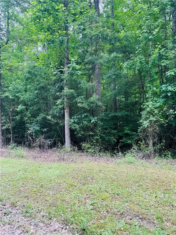 0 Pace Road Chattahoochee Hills, GA 30213