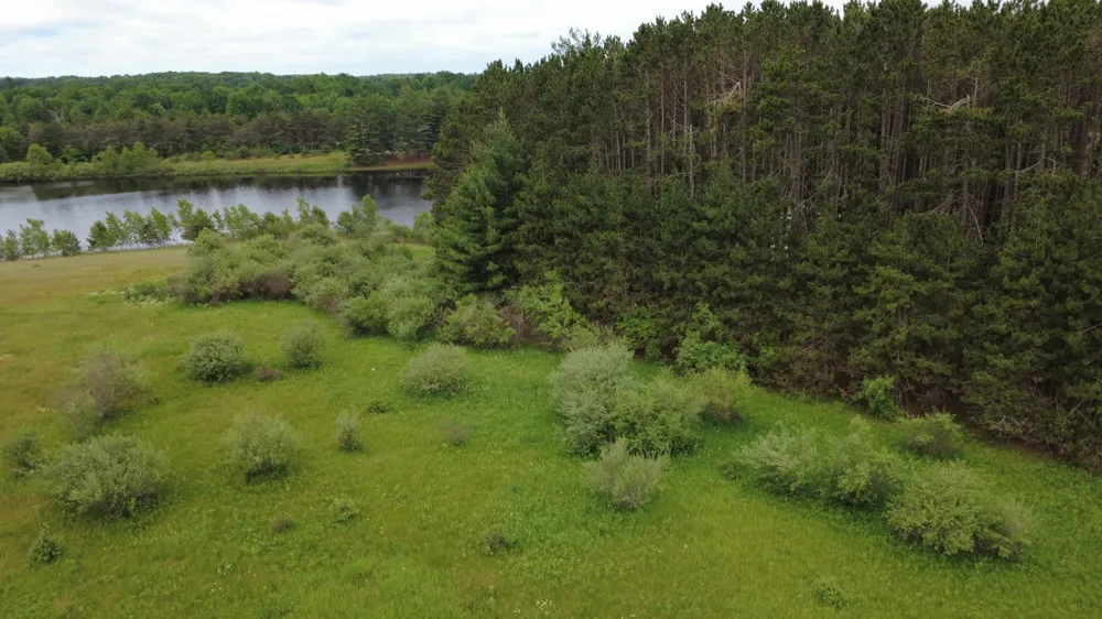11651 Port Stewart Drive Canadian Lakes, MI 49346