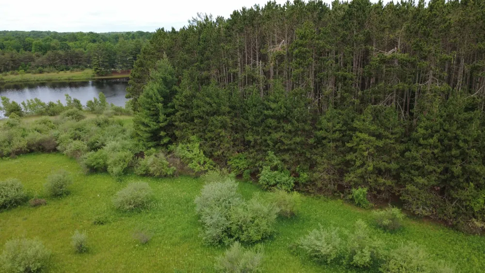 11651 Port Stewart Drive Canadian Lakes, MI 49346
