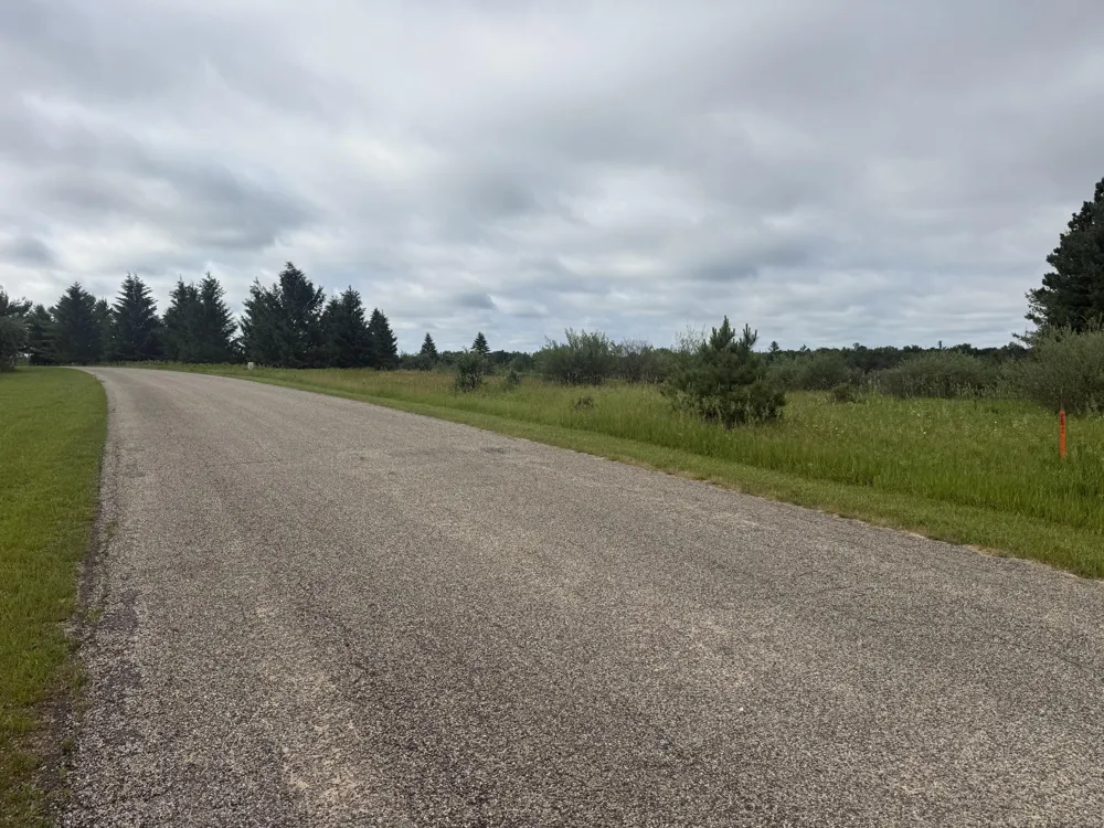 11651 Port Stewart Drive Canadian Lakes, MI 49346