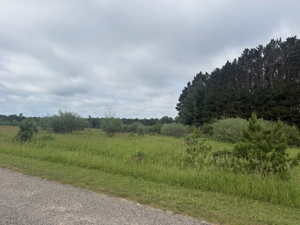 11651 Port Stewart Drive Canadian Lakes, MI 49346