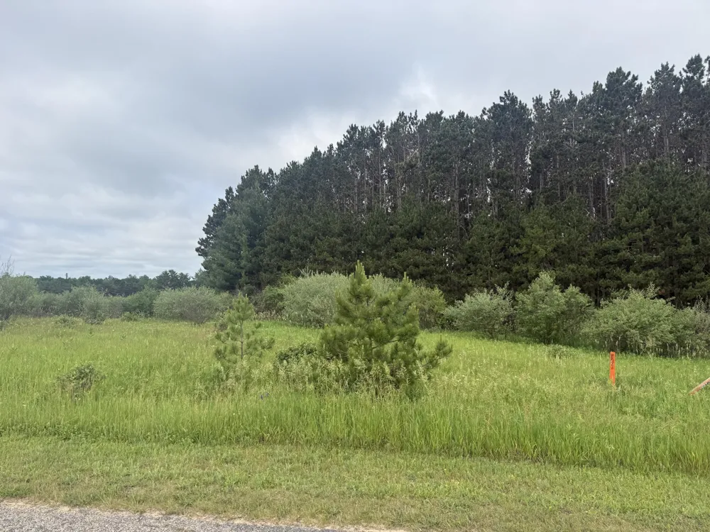 11651 Port Stewart Drive Canadian Lakes, MI 49346