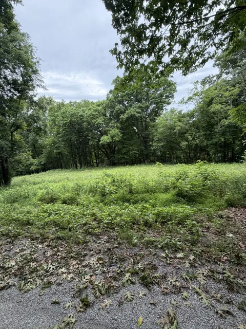 1299 Dixon Town Rd
