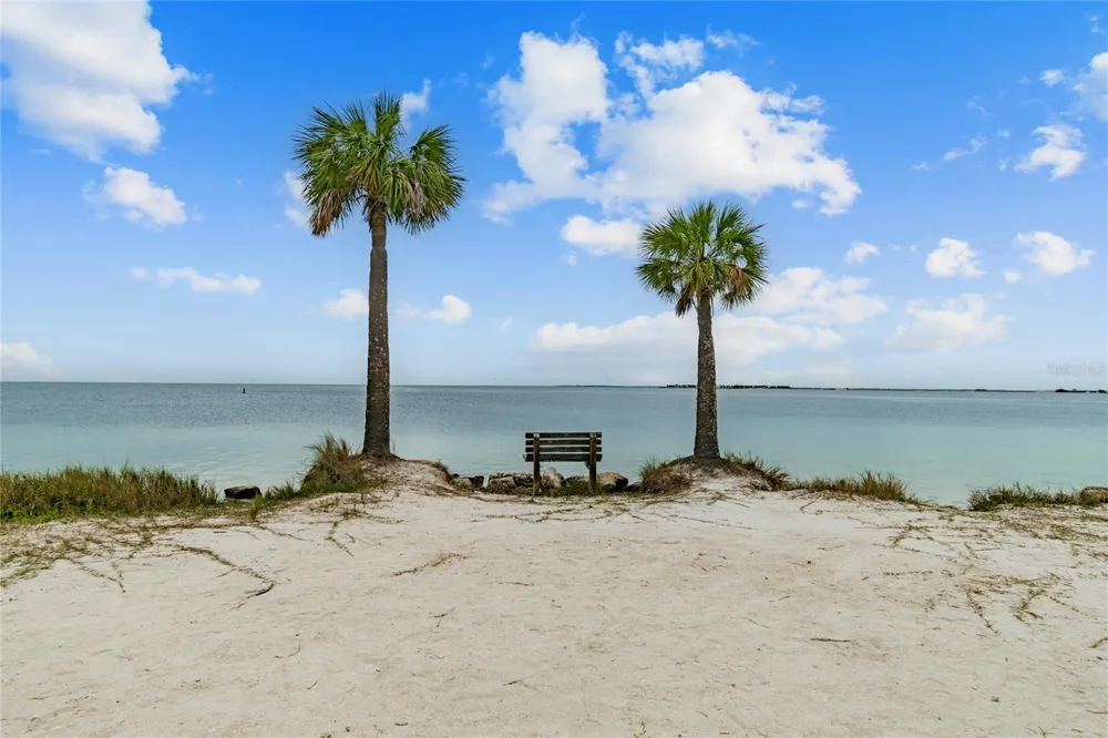 4368 SUMMERSUN DRIVE #4368 New Port Richey, FL 34652