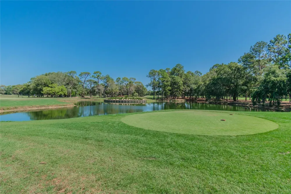4368 SUMMERSUN DRIVE #4368 New Port Richey, FL 34652