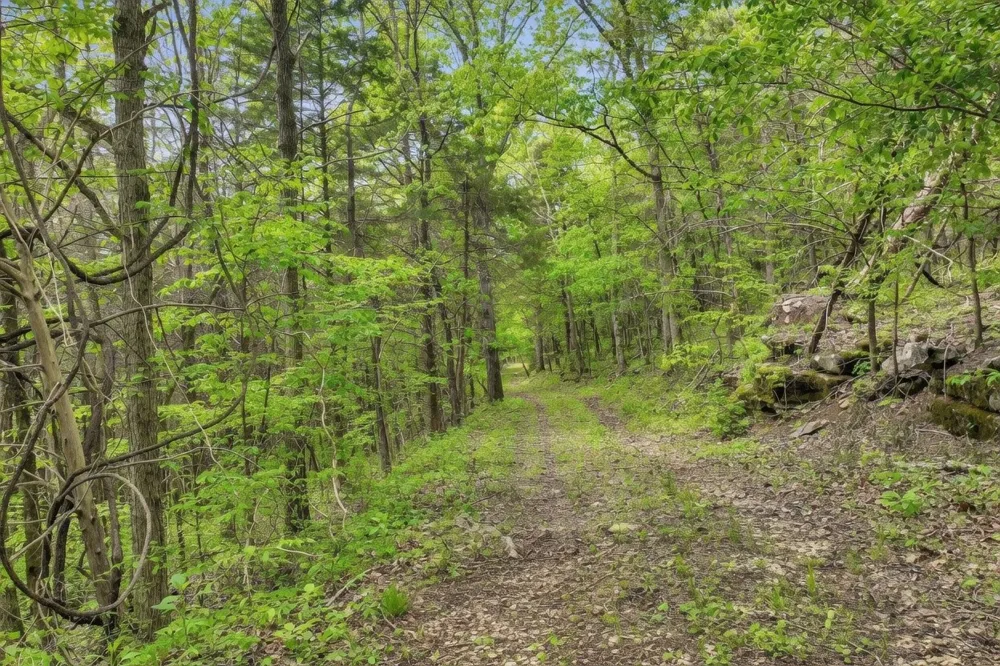 40 Mahan Lane Elmwood, TN 38560