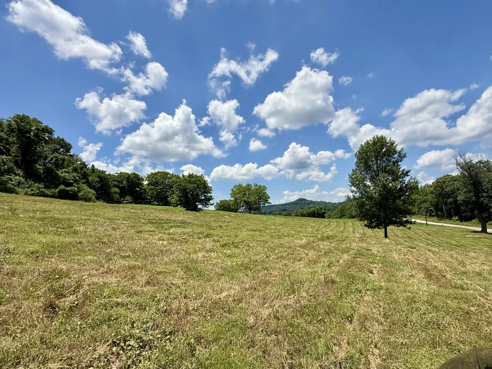 40 Mahan Lane Elmwood, TN 38560