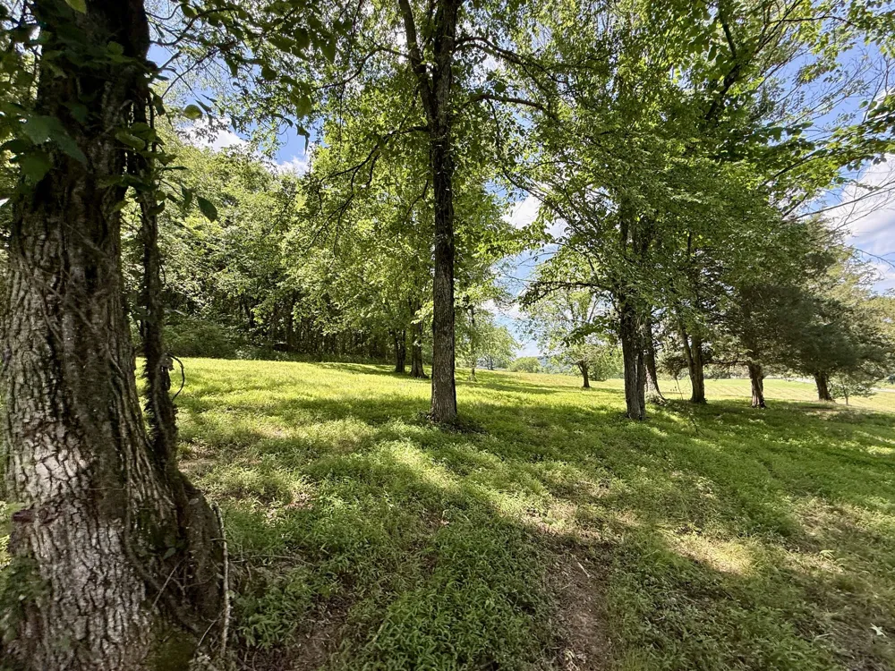 40 Mahan Lane Elmwood, TN 38560