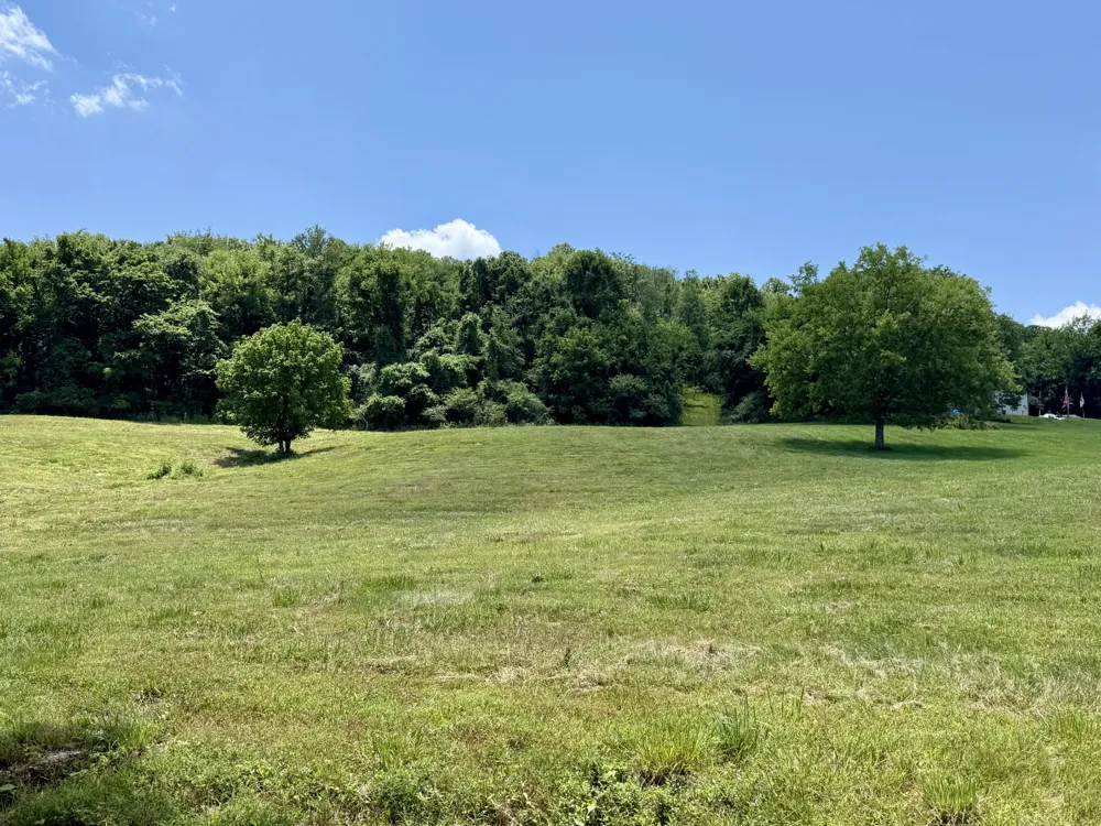 40 Mahan Lane Elmwood, TN 38560