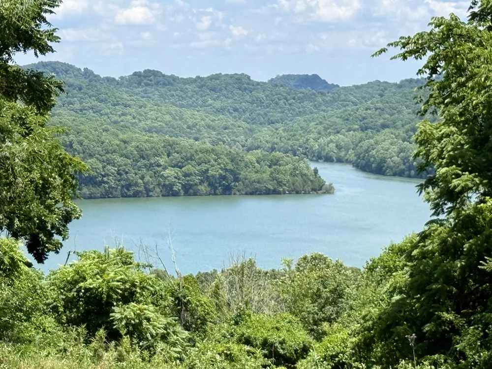 40 Mahan Lane Elmwood, TN 38560