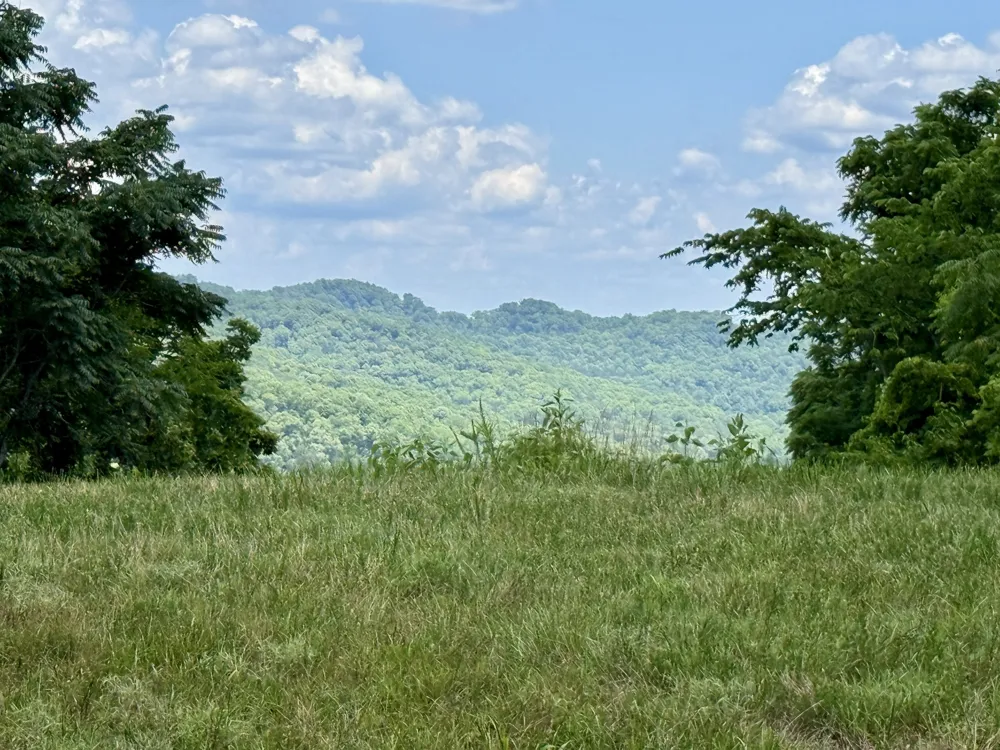 40 Mahan Lane Elmwood, TN 38560