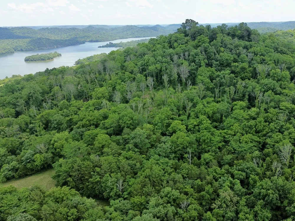 40 Mahan Lane Elmwood, TN 38560