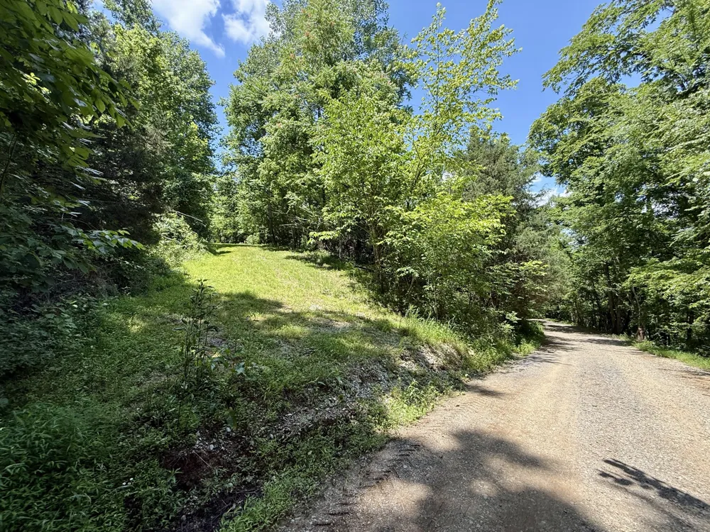 40 Mahan Lane Elmwood, TN 38560
