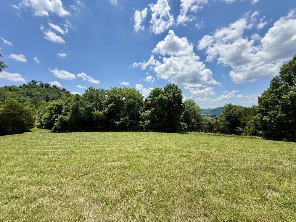 40 Mahan Lane Elmwood, TN 38560
