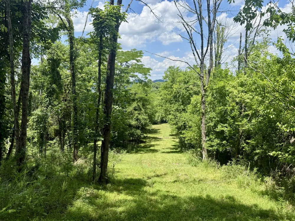 40 Mahan Lane Elmwood, TN 38560
