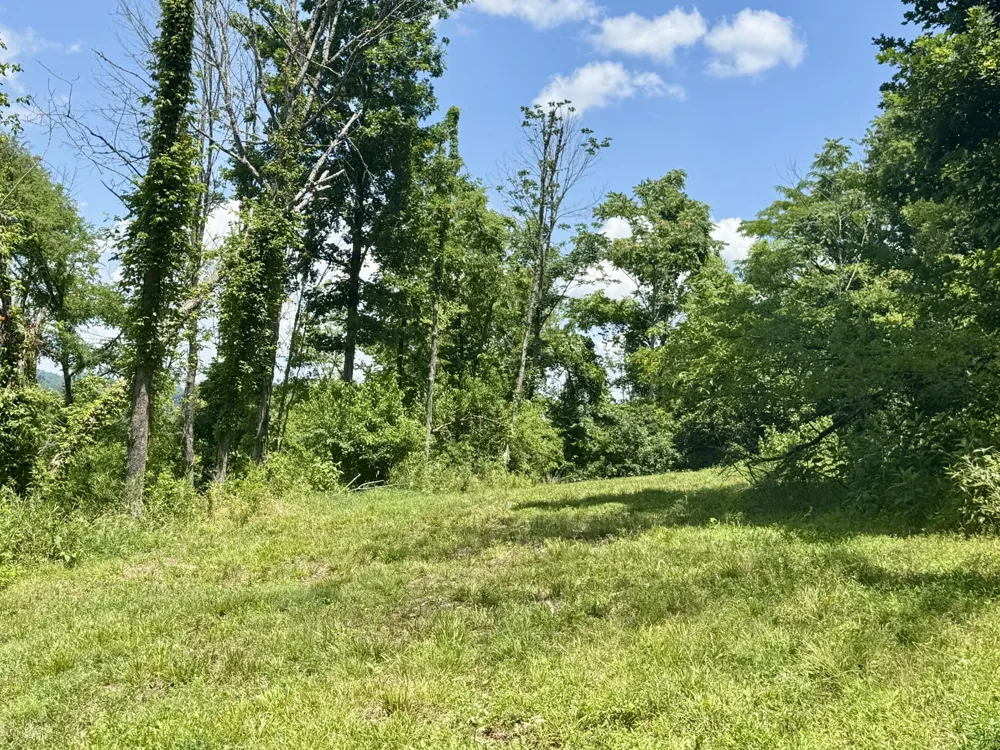 40 Mahan Lane Elmwood, TN 38560