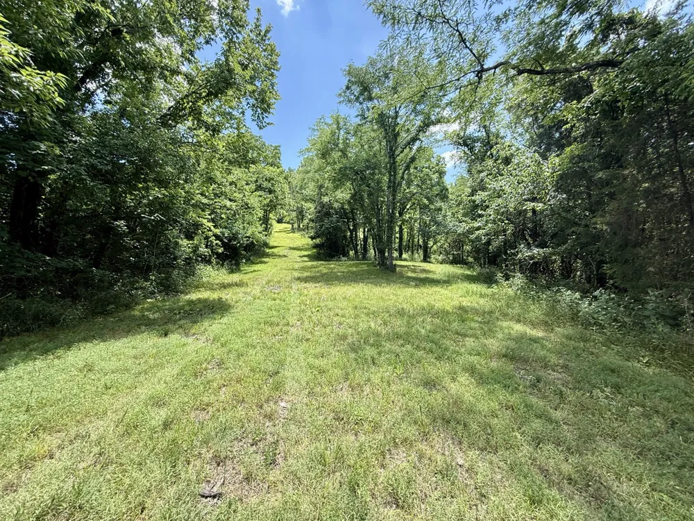 40 Mahan Lane Elmwood, TN 38560