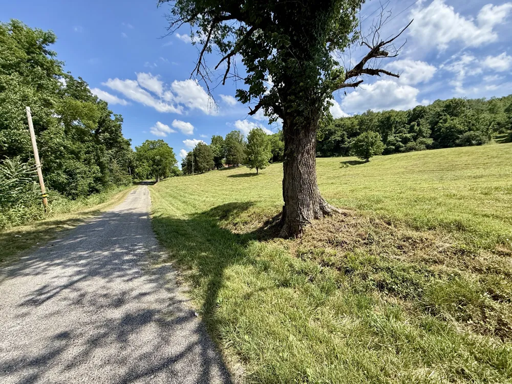 40 Mahan Lane Elmwood, TN 38560