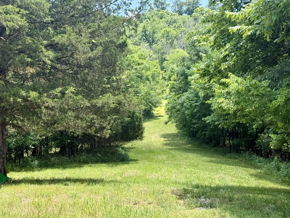 40 Mahan Lane Elmwood, TN 38560