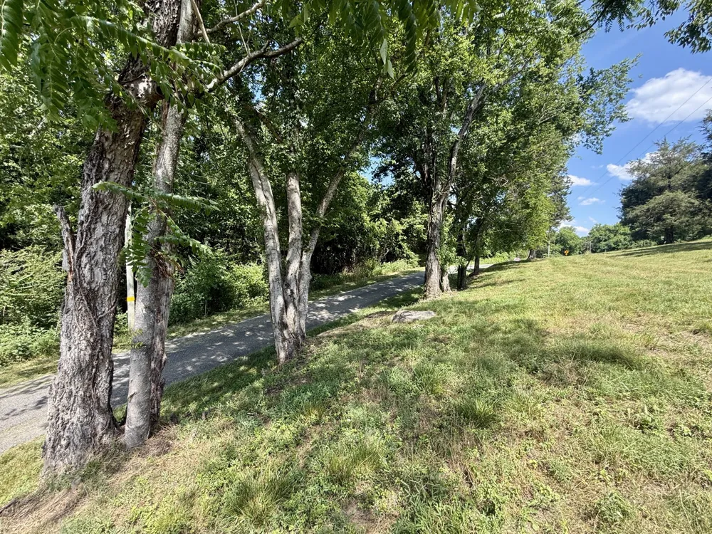 40 Mahan Lane Elmwood, TN 38560