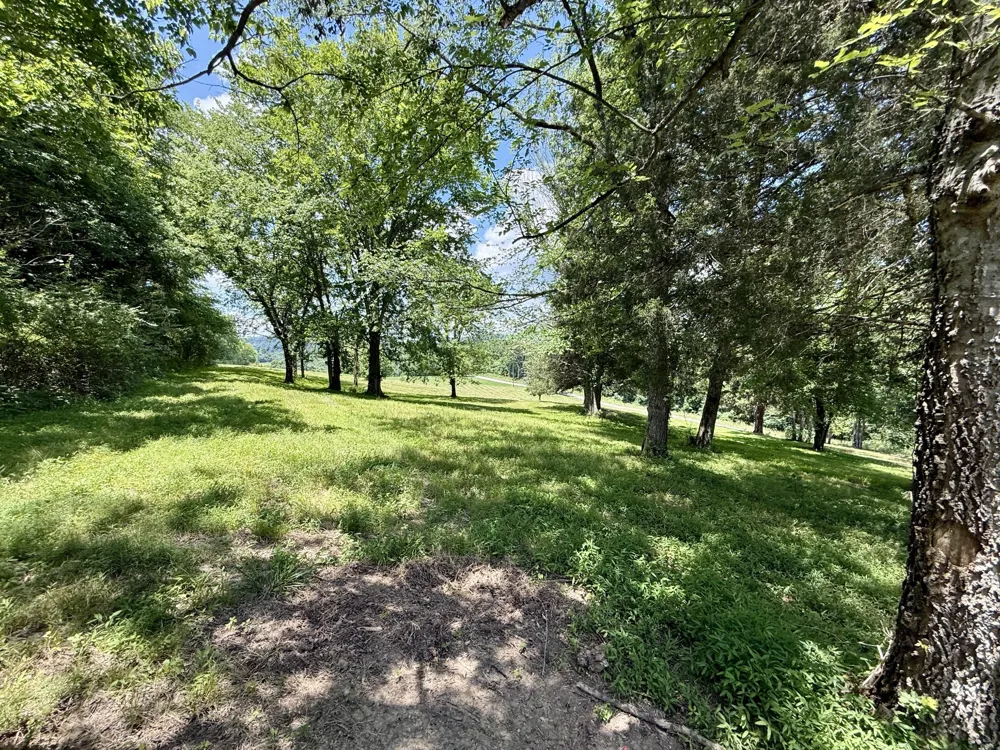 40 Mahan Lane Elmwood, TN 38560