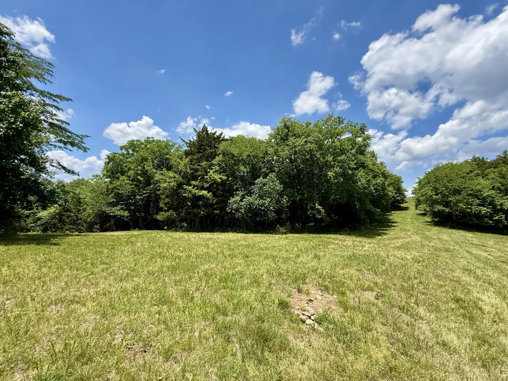 40 Mahan Lane Elmwood, TN 38560