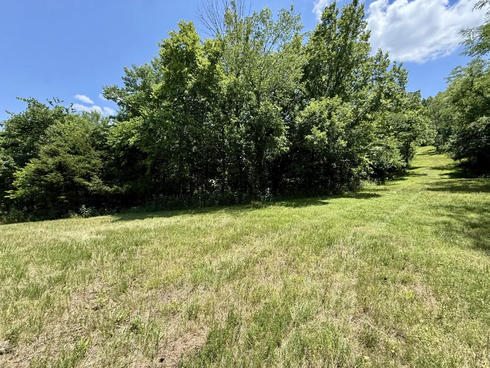 40 Mahan Lane Elmwood, TN 38560