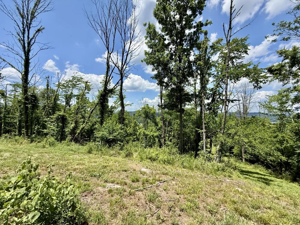 40 Mahan Lane Elmwood, TN 38560