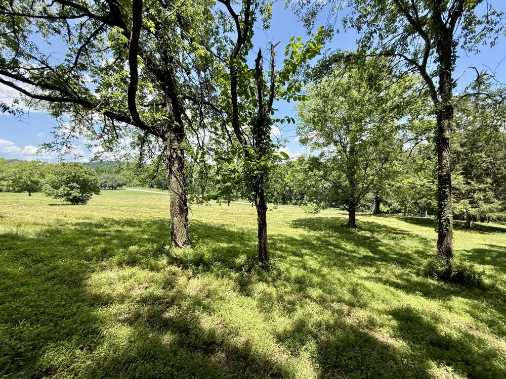 40 Mahan Lane Elmwood, TN 38560