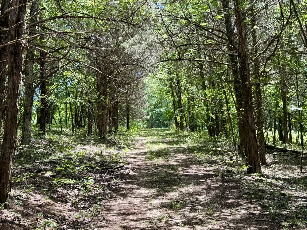 40 Mahan Lane Elmwood, TN 38560