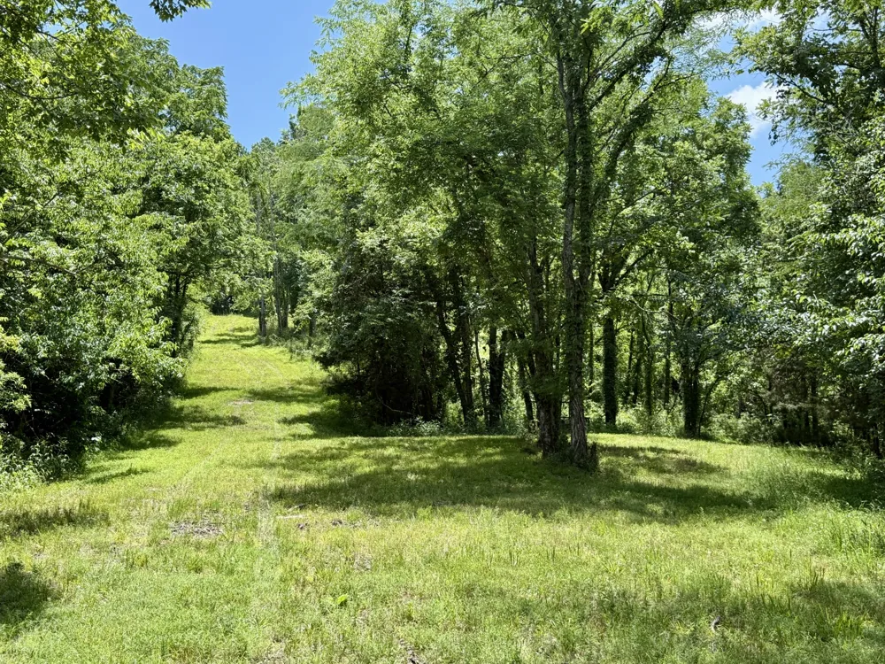 40 Mahan Lane Elmwood, TN 38560