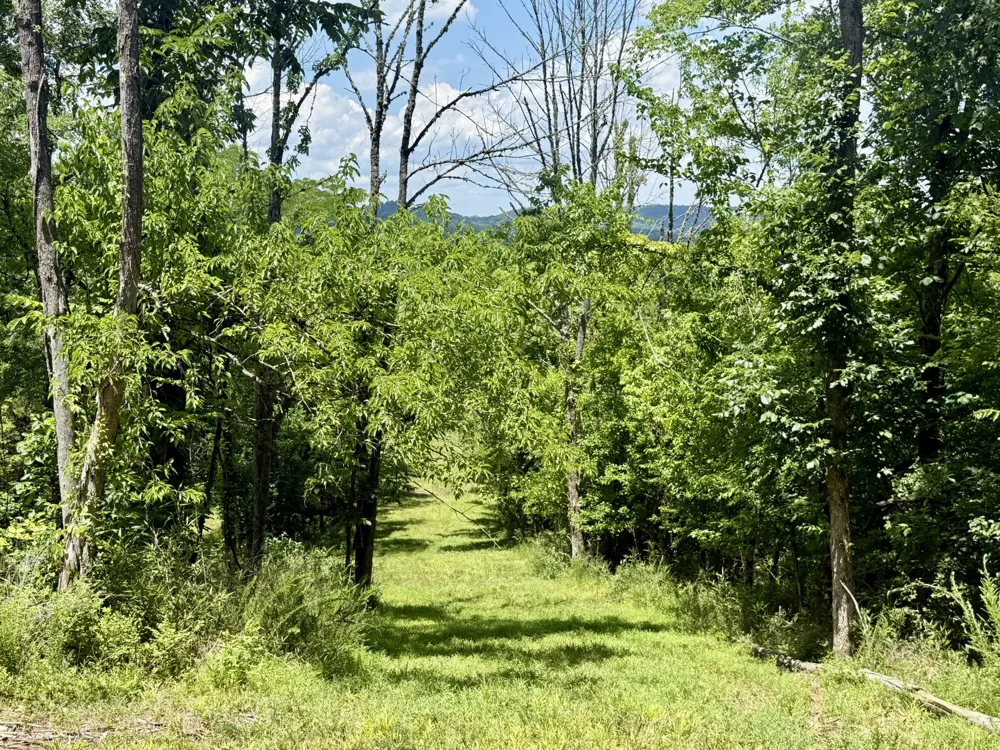 40 Mahan Lane Elmwood, TN 38560