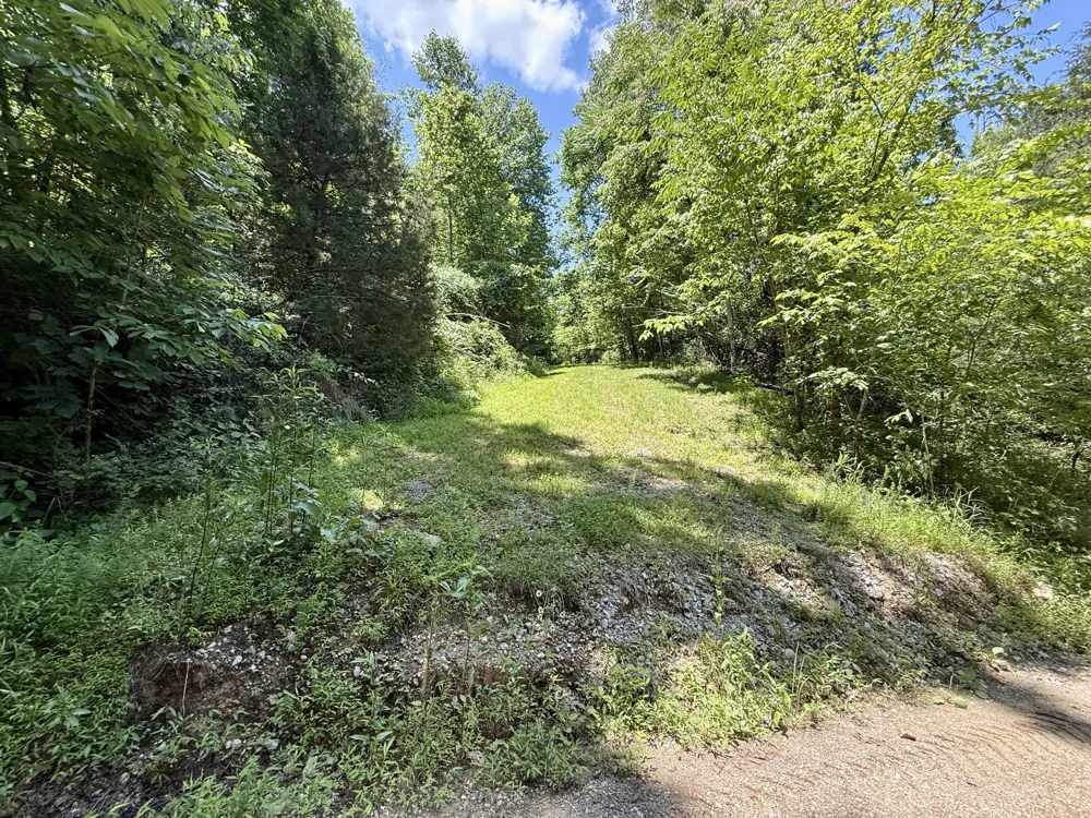 40 Mahan Lane Elmwood, TN 38560