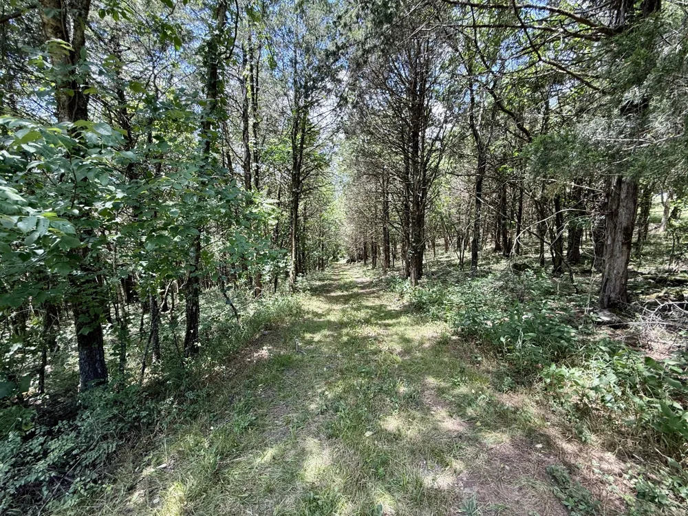 40 Mahan Lane Elmwood, TN 38560