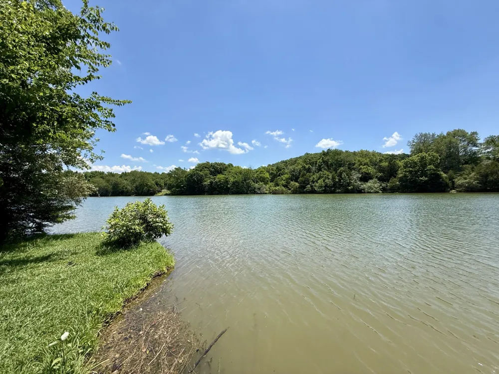 40 Mahan Lane Elmwood, TN 38560