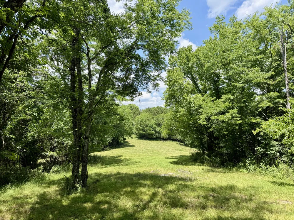 40 Mahan Lane Elmwood, TN 38560