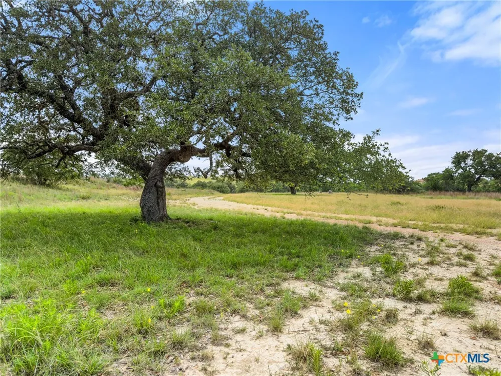 428 Summit Spring Lane Johnson City, TX 78636