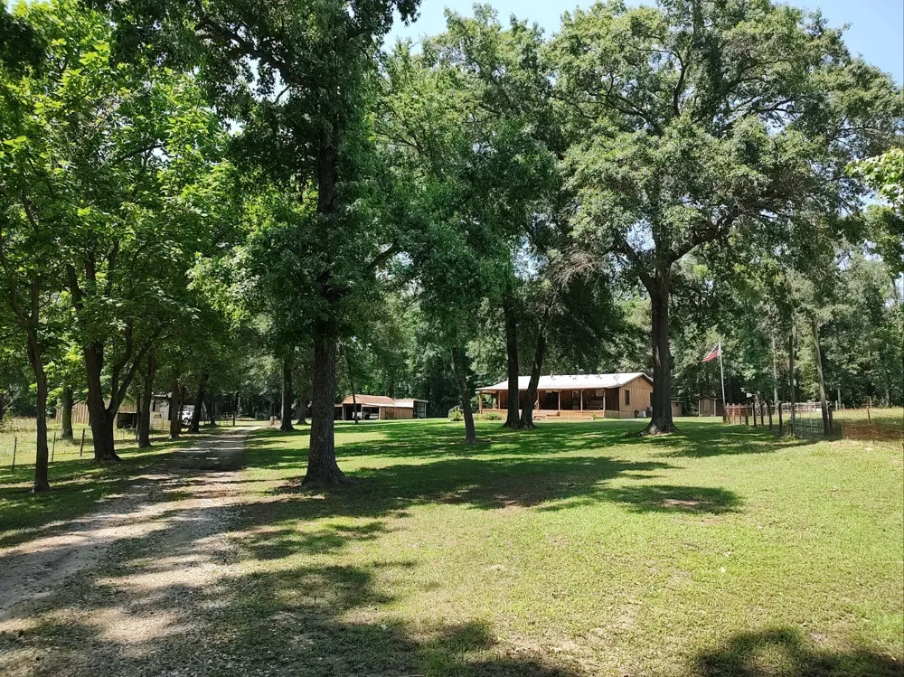 1061 CR 1807 3 ACRES Yantis, TX 75497