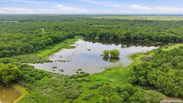 3833 County Road 2880 Bigfoot, TX 78005