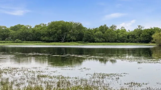 3833 County Road 2880 Bigfoot, TX 78005