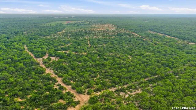 3833 County Road 2880 Bigfoot, TX 78005