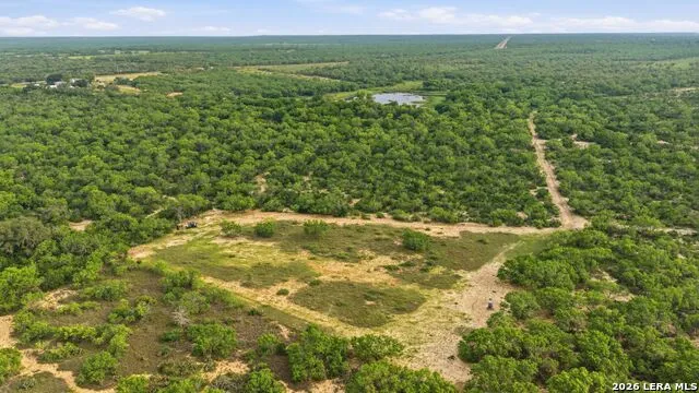 3833 County Road 2880 Bigfoot, TX 78005
