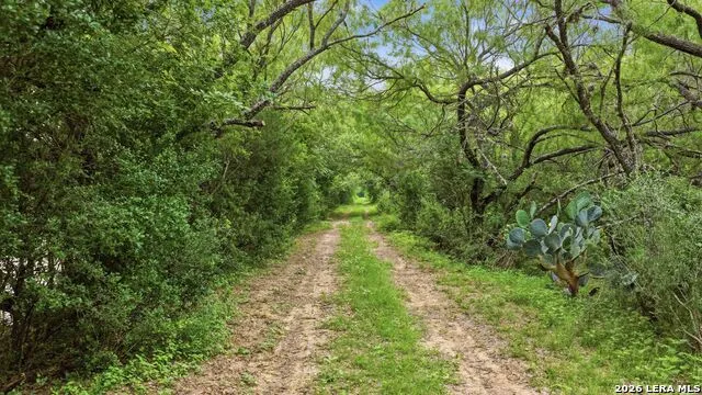 3833 County Road 2880 Bigfoot, TX 78005